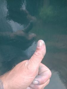 473071796_122248858148004286_4046087369021283543_n